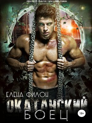 cover image of Окатанский боец